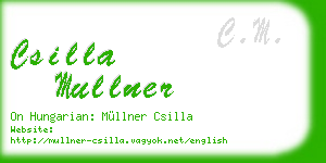 csilla mullner business card